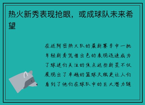 热火新秀表现抢眼,或成球队未来希望